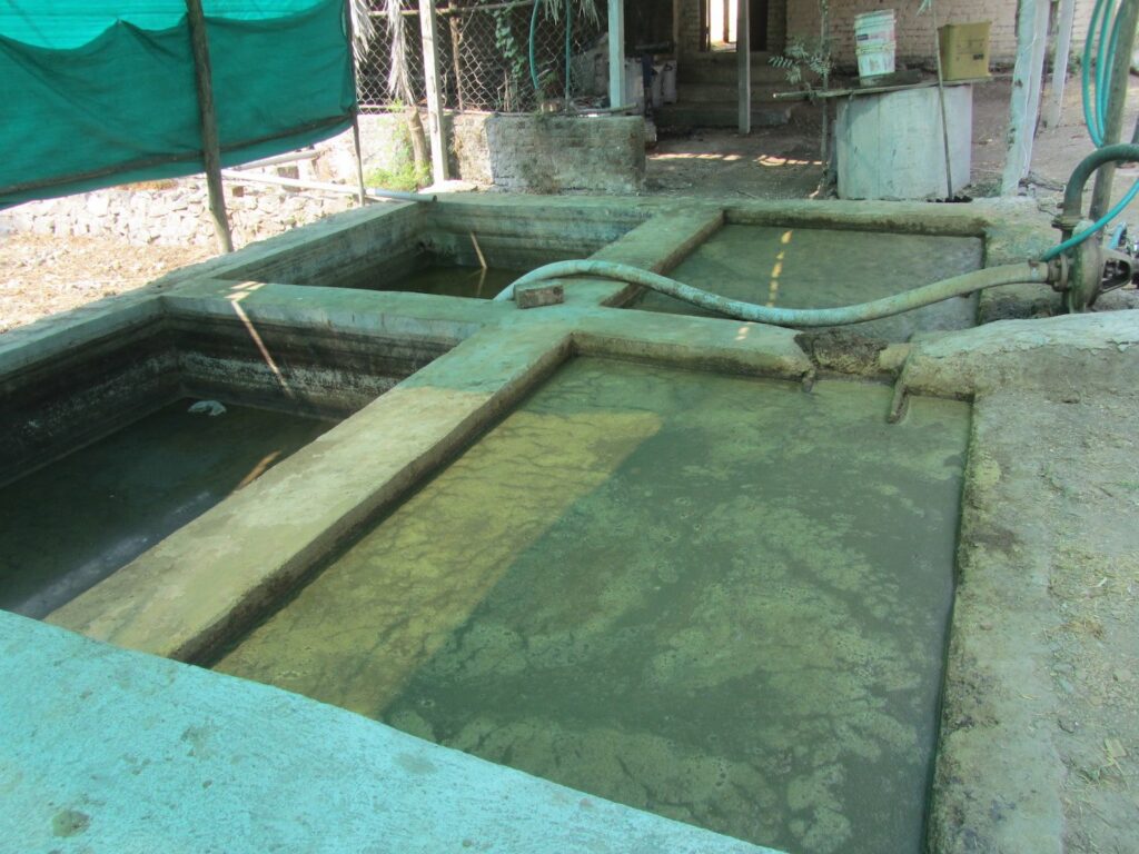 Making organic fertilizers behind the cow shed